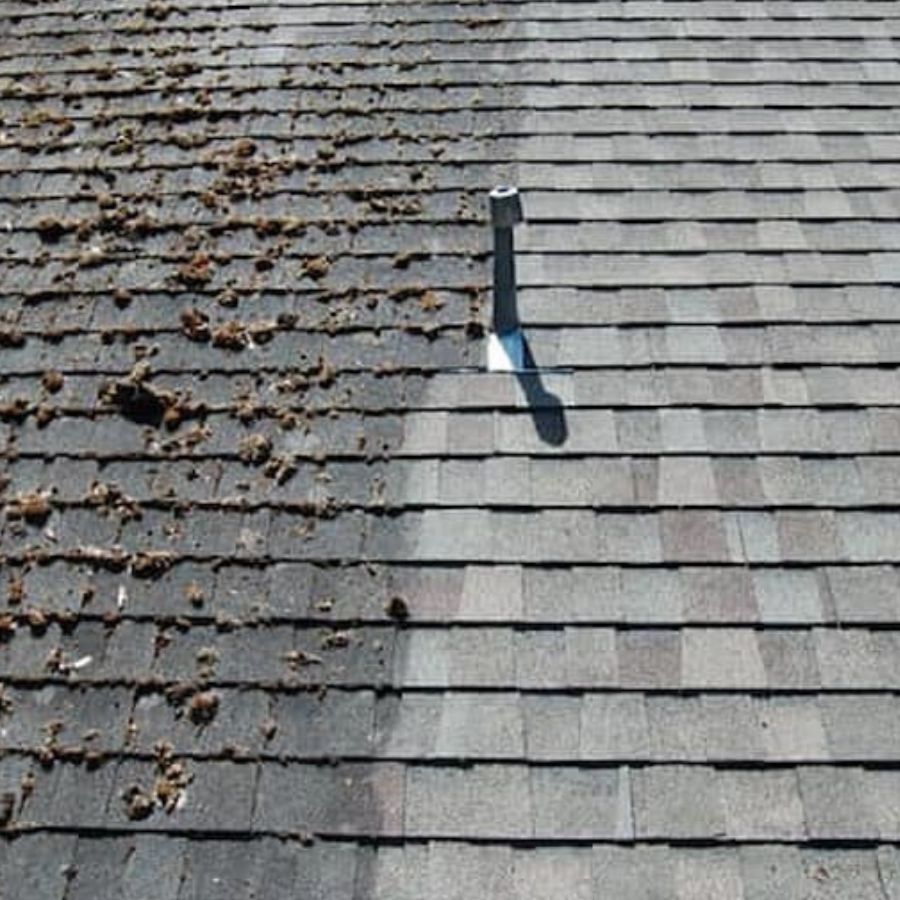 Prevent Costly Damage with Routine Roof Cleaning