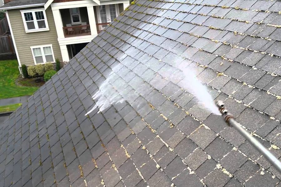 Professional Roof Cleaning Services to Protect and Refresh Your Home