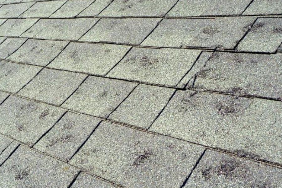 Expert Hail Damage Solutions Backed by Decades of Service